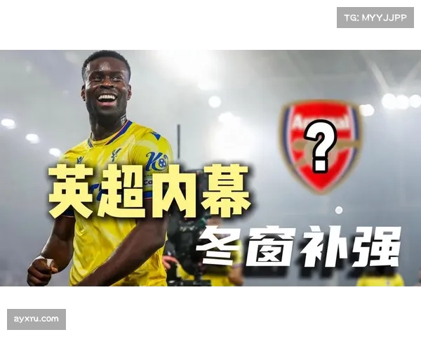 德甲冬窗总投入创五年新高，各队展现罕见果断补强决心